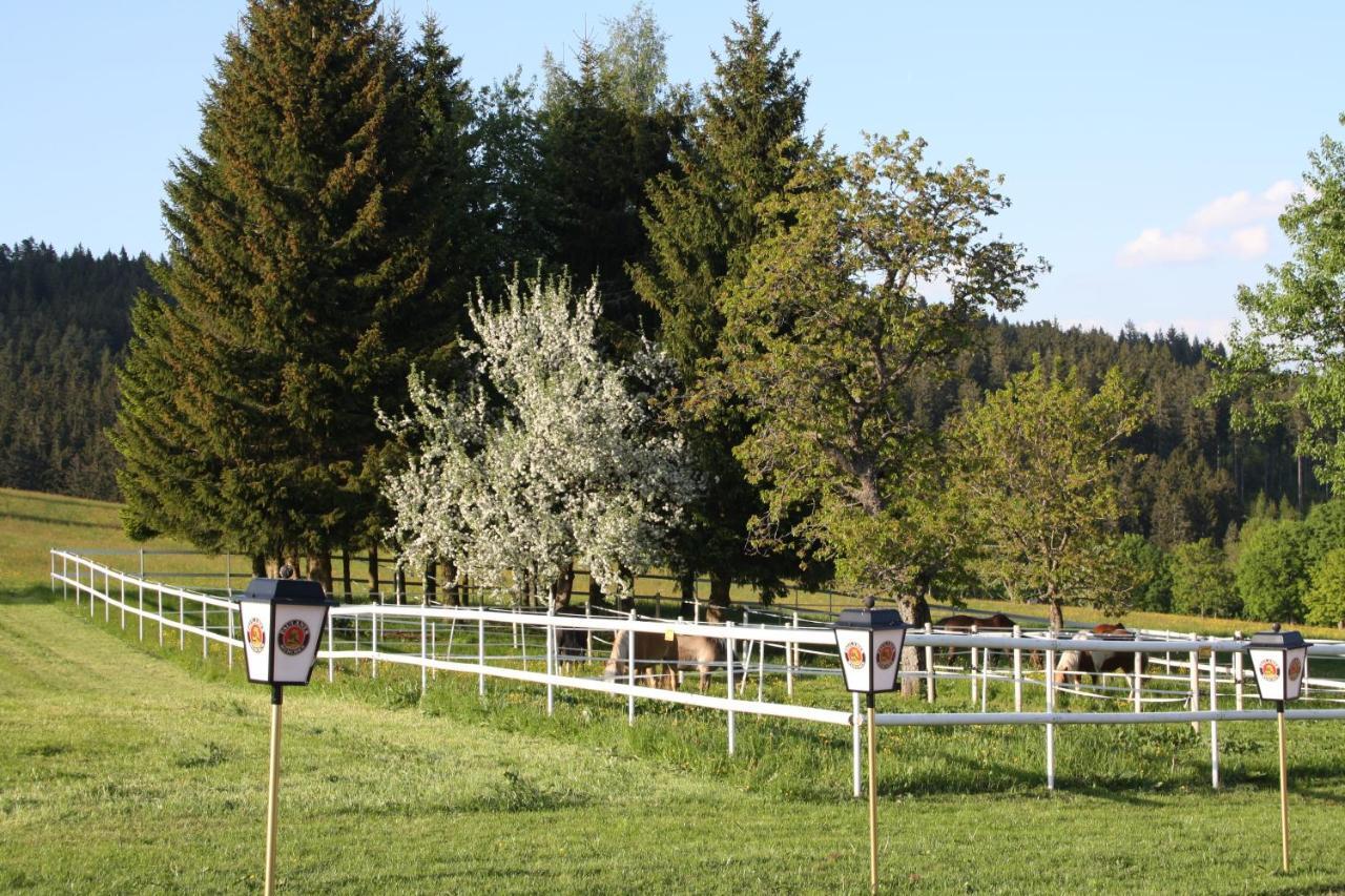 Bartlehof 3* Schluchsee