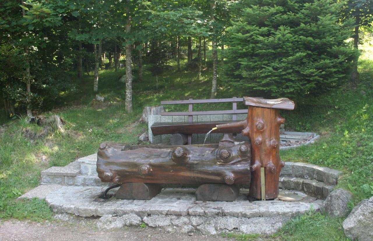 Bartlehof Hotel Schluchsee